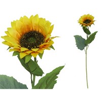 GIRASOLE SINGOLO D13 CM.60