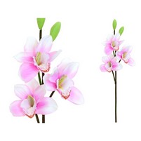 CYMBIDIUM RAMO 3 FIORI CM.52