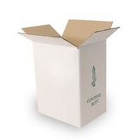 SCATOLA X 1 LATTINA OLIO LT.5