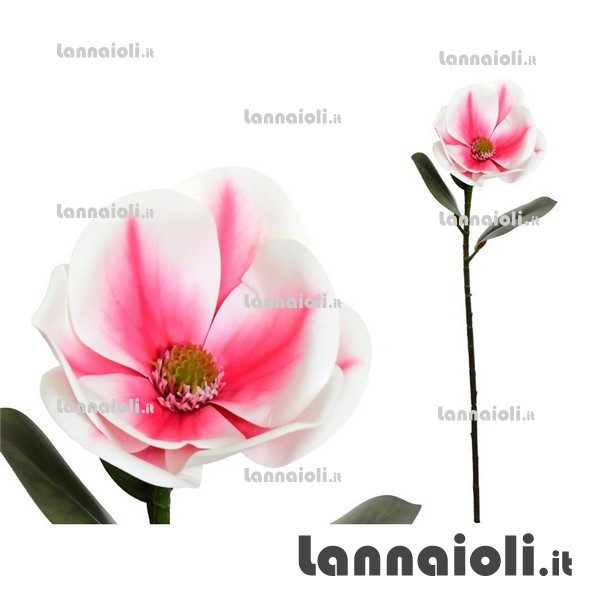 MAGNOLIA TOCCO REALE CM.65 MAGNOLIA TOCCO REALE CM.65