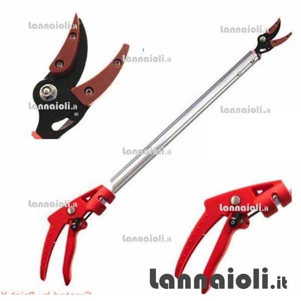 FORBICI X ASPARAGI CM.100 de luca coltellerie FORBICI X ASPARAGI CM.100 de luca coltellerie