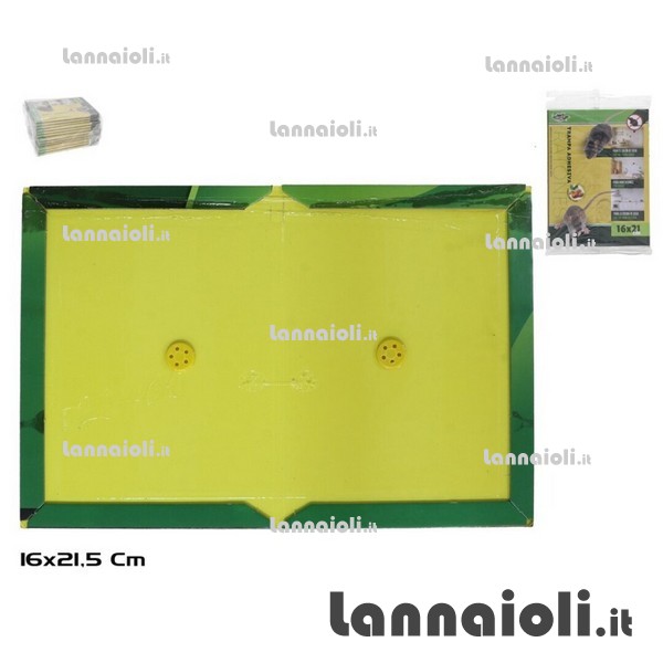 TRAPPOLA PER TOPI ADESIVA 21X16 PZ.2 